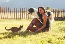 ¿Por qué son importantes los paseos para los perros?