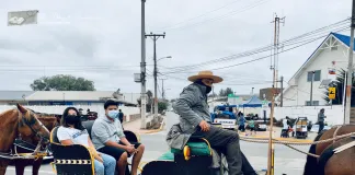 Hacen llamado a poner fin a los coches tirados por caballos en Pichilemu