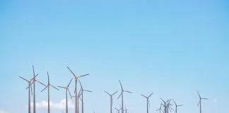 Las 7 tendencias sostenibles que marcarán el 2022