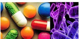 Buscan lograr que SAG de la autorización del uso de familias de antibióticos considerados críticos para la salud, pensando en los animales de compañia