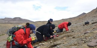 Expedición obtiene nuevos registros de dinosaurios en Cerro Guido