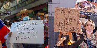 Activistas alzaron la voz solicitando la inclusión de los derechos de los animales y la naturaleza en la nueva Constitución