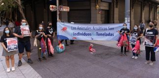 Activistas protestan para exigir la protección de especies marinas y dietas más sostenibles
