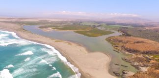 Humedales de Huentelauquén reciben reconocimiento internacional