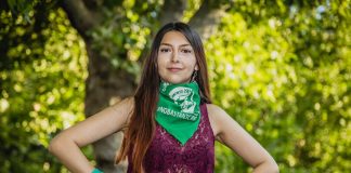 Constituyente Camila Zárate: “La jornada del viernes fue un día histórico para los derechos de los animales en la Convención”