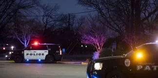 Policía fue condenado a un año de cárcel por matar al perro de su pareja en EE.UU