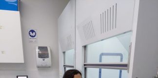 Estudio evaluó cera de hojas presentes en especies de bosques de la Araucanía