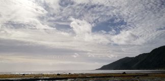 Avanza proceso de ECMPO en isla Guafo