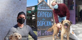 Excelente noticia: 23 perros del Refugio Esperanza encontraron un hogar y familia responsable durante marzo