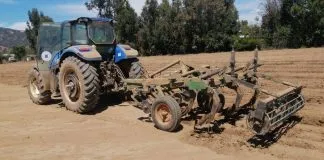 Fondo de la ONU apoya con 7.182 millones de pesos a pequeños agricultores de la región de Ohiggins para enfrentar el cambio climático