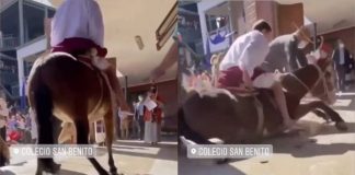 Denuncian maltrato animal hacia un burro que estaba participando en una actividad del Colegio San Benito de Vitacura