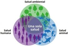 Animales, territorio y salud: una lección antigua que Chile vuelve a escuchar (Opinión)