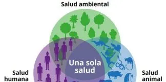 Animales, territorio y salud: una lección antigua que Chile vuelve a escuchar (Opinión)