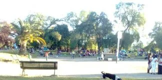 Lush y Fundación Basura se unen para recuperar espacio comunitario en La Florida