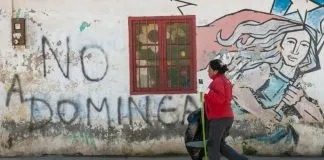 ¿Qué pasa tras el rechazo de los recursos que buscaban prohibir Dominga, cercano a la Reserva Mundial Pinguinos de Humbolt?