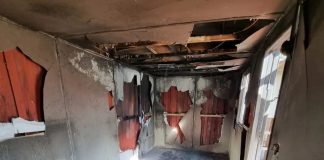 Hacen llamado a apoyar la reconstrucción de las gateras del refugio de Laguna Verde que albergaban a 60 gatos, tras el incendio sufrido