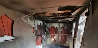 Hacen llamado a apoyar la reconstrucción de las gateras del refugio de Laguna Verde que albergaban a 60 gatos, tras el incendio sufrido