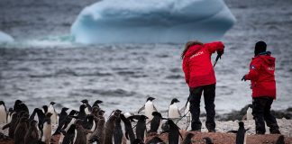 Chile finaliza Expedición Científica Antártica sin casos positivos de Covid-19