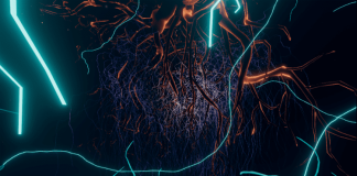 Las sorpresas del Museo del Hongo: la iniciativa de arte pionera en Chile que se inspira en la ciencia del Reino Fungi