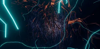 Las sorpresas del Museo del Hongo: la iniciativa de arte pionera en Chile que se inspira en la ciencia del Reino Fungi