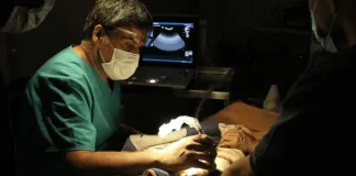 Justicia dictamina disculpas públicas por funa a médico veterinario de Tarapacá