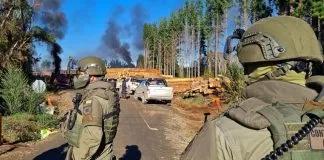 ¿Qué pasa con los animales que se ven afectados a causa de los hechos de violencia acaecidos en la zona macro sur de Chile?