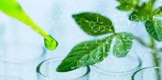 Biotecnología, generación de conocimiento y desarrollo de tecnologías (Opinión)