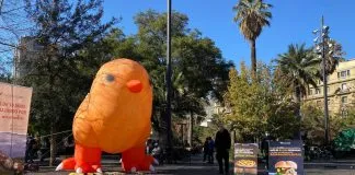 Intervención ciudadana se tomó Plaza de Armas en conmemoración de los 10 años de Fundación Vegetarianos Hoy