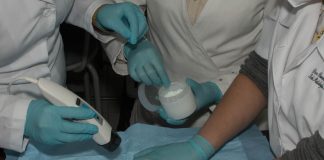 Científicas UFRO desarrollan crema derivada del té verde que daña las células malignas del cáncer a la piel