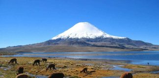 Minagri posiciona a la Reserva Biósfera Lauca como promotor de desarrollo ecológico a nivel nacional