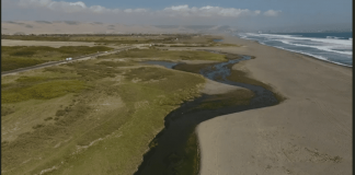 Primer Tribunal Ambiental acoge a trámite reclamación por superficie de protección del Humedal Urbano Desembocadura Río Lluta