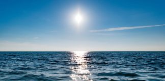 ONU hace llamado a cuidar los océanos del mundo