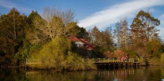 ¿ Qué hacer frente al crecimiento sostenido de denuncias asociadas a loteos irregulares que no respetan el entorno y la normativa vigente?