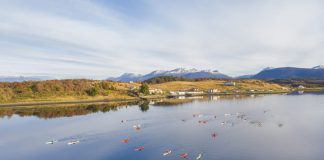 Áreas Protegidas Sin Salmoneras: Sigue la lucha por proteger el canal Beagle y la Isla de Chiloé