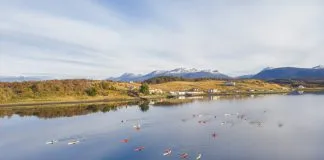 Balance Ambiental 2023: sobreproducción de salmones y la falta de acciones por parte de las autoridades para regular la industria, acusa Fundación Terram