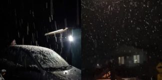 Reportan caída de nieve en distintos puntos del país: ¡a cuidar los animales¡