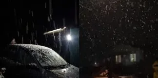 Reportan caída de nieve en distintos puntos del país: ¡a cuidar los animales¡