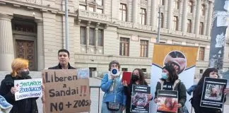 Las razones que sustentan el habeas corpus presentado a favor de Sandai, el orangután que vive bajo cautiverio hace años en el Buin Zoo