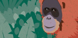 Lanzan campaña para proteger, reconstruir y regenerar el Bosque Tropical de Toba Occidental