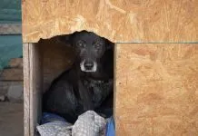 Piden ayuda: Refugio Sam en Valparaíso se está inundando, a causa del temporal que afecta al país