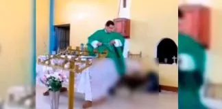 Maltrato animal en Tik Tok: ¿qué hacer en esos casos?