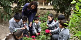 Educación y medioambiente en el momento constituyente de Chile (Opinión)