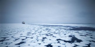 Destacan la importancia de la formación y trabajo de los observadores científicos para la conservación del kril antártico