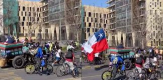 Hacen llamado a no ocupar a los animales en actividades que implique su explotación, tras incidentes en La Alameda