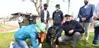 Proyecto «Quillota Respira Frente al Cambio Climático» plantó su árbol 60.000