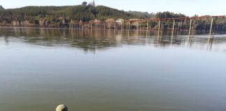 Estudio en el Río Itata pone alerta sobre efecto de la mega sequía respecto al funcionamiento de cuencas fluviales