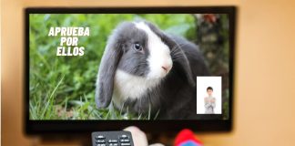 Histórico: Los animales y sus derechos estarán presentes por primera vez en una franja electoral