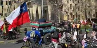 Colmevet hace llamado al Congreso, para que avancen proyectos de ley que prohíben el uso de equinos en manifestaciones