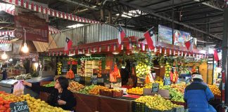 Desmienten la supuesta negativa de ingreso a una agrupación para realizar un operativo de TNR en la Vega Central