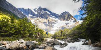 Recomendaciones para cultivar sin pesticidas en la Patagonia